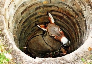 Мен есекпен келіп, жүкті болдым.