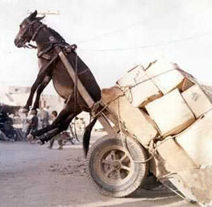 Лас әйелдер етігін жалап тұрған фото Жетілген әйелмен порно және секс