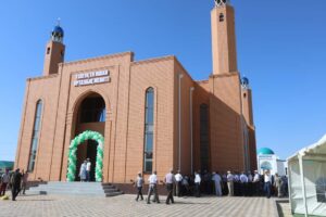 Жүнді мысық секс