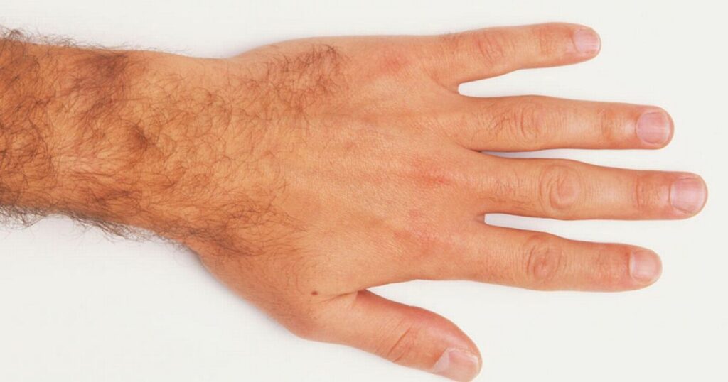 Гей порно жұлдыздарының галереясы